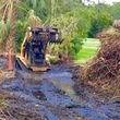 Photo #15: Excavator/Bobcat work Debris & Tree Service-Extract,Dig,Demo,Haul