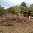 Photo #22: Excavator/Bobcat work Debris & Tree Service-Extract,Dig,Demo,Haul