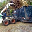 Photo #23: Excavator/Bobcat work Debris & Tree Service-Extract,Dig,Demo,Haul