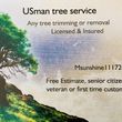 Photo #1: TREE SPECIALIST USMan Tree Service Tree Removal Triming Stump Grinding