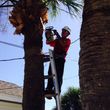 Photo #1: ASAP  Custom Tree and Landscaping