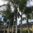 Photo #9: ASAP  Custom Tree and Landscaping