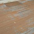 Photo #5: Power washing & deck restoration