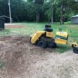 Photo #1: Stump gringing and removal