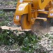 Photo #6: Tree cutting services + stump grinding in greater Seattle area
