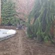Photo #4: AV Landscaping LLC.