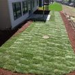 Photo #8: Perez Landscaping (Yard/Lawn Services)