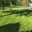 Photo #14: Perez Landscaping (Yard/Lawn Services)