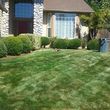 Photo #1: GENERAL CLEANING AND MAINTENANCE FOR YOUR GARDEN