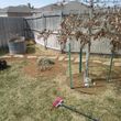 Photo #7: Lawn Mowing, Lawn Care, Landscape design and planting