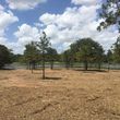 Photo #2: CF Mulching Services- Mulching and Dozer!