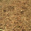Photo #4: CF Mulching Services- Mulching and Dozer!
