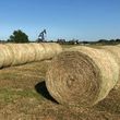 Photo #1: Pasture weed spraying/fertilizing/hay serivice/hay for sale