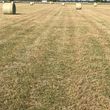 Photo #5: Pasture weed spraying/fertilizing/hay serivice/hay for sale