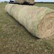 Photo #6: Pasture weed spraying/fertilizing/hay serivice/hay for sale