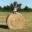 Photo #9: Pasture weed spraying/fertilizing/hay serivice/hay for sale