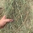 Photo #11: Pasture weed spraying/fertilizing/hay serivice/hay for sale