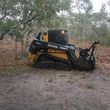 Photo #6: Land Clearing, Tree/Brush/Debris Removal, Demolition