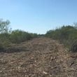 Photo #3: Land Clearing, Tree/Brush/Debris Removal, Demolition