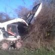Photo #7: Brush/ Land Clearing, Forestry, Demo, Auger Work-Bobcat Services