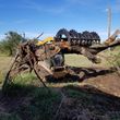 Photo #2: Land Clearing - Demolition - Haul Off