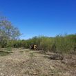 Photo #5: Land Clearing - Demolition - Haul Off