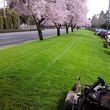 Photo #6: !!!!!cleanup..affordable lawncare..Barkdust  maitenance...mowing!!!!!!