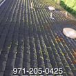 Photo #3: ♦️PROFESSIONAL ROOF AND GUTTER CLEANING♦️ CALL NOW