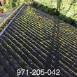 Photo #5: ♦️PROFESSIONAL ROOF AND GUTTER CLEANING♦️ CALL NOW