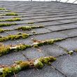 Photo #2: Moss Removal & Gutter Cleaning , Power washing .☀