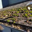 Photo #6: Roof cleaning, Gutter cleaning, Washing by ☆NW Property Maintnance LLC