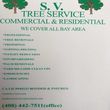 Photo #1: TREE SERVICES- MOUNTAIN VIEW- SAN MATEO-REDWOOD CITY