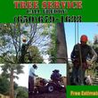 Photo #1: 🍃 Tree Service - Free Bids 