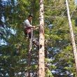 Photo #2: 🍃 Tree Service - Free Bids 