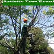 Photo #6: 🍃 Tree Service - Free Bids 