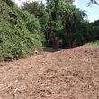Photo #1: Lot Clearing, Forestry Mulching, Road Construction & Bush Hog Services