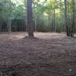 Photo #6: Lot Clearing, Forestry Mulching, Road Construction & Bush Hog Services