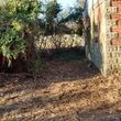 Photo #10: Lot Clearing, Forestry Mulching, Road Construction & Bush Hog Services