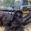 Photo #11: Lot Clearing, Forestry Mulching, Road Construction & Bush Hog Services