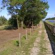 Photo #19: Lot Clearing, Forestry Mulching, Road Construction & Bush Hog Services
