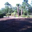 Photo #20: Lot Clearing, Forestry Mulching, Road Construction & Bush Hog Services