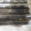 Photo #9: Pressure Washing - SOFT WASH - Exterior Cleaning