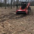 Photo #1: Excavation, Land Clearing/Mulching Stump removal