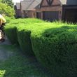 Photo #2: lawn care and more