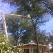 Photo #3: ++ Affordable Tree Service ++