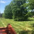 Photo #2: Farm / Commercial - Brushhogging, Brush Cutting, Mowing -Insured