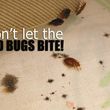 Photo #1: 20% OFF BED BUG SERVICE