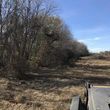 Photo #2: Land Clearing/Forestry mulching/Stump Grinding