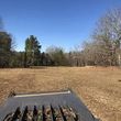 Photo #3: Land Clearing/Forestry mulching/Stump Grinding