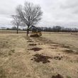 Photo #5: Land Clearing/Forestry mulching/Stump Grinding